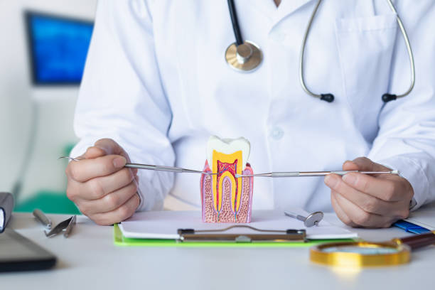 Best Urgent Care for Lost Fillings or Crowns in Chepachet, RI